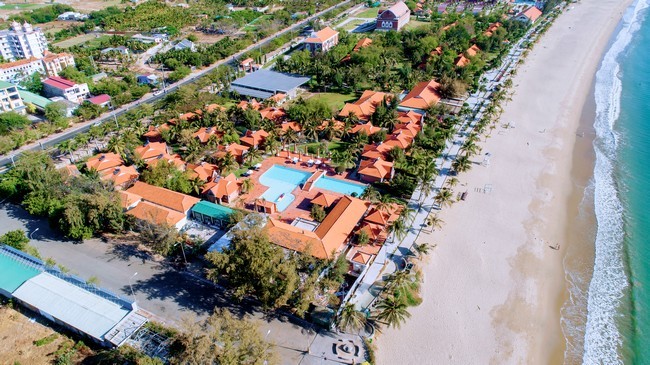 dji-0085-1755842588.jpg