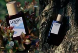 LOEWE Earth & Khúc Mạnh Quân: Mùi hương của chiều sâu đương đại
