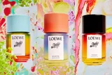 LOEWE Paula’s Ibiza: Món quà hương thơm cho Tết sôi động