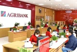 Nhiều người cao tuổi đến Agribank, BIDV, VietinBank,... để rút sổ tiết kiệm, chuyển khoản một lúc cả trăm triệu: Nhân viên từ chối giao dịch và mời công an sau khi thấy dấu hiệu bất thường