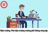 Tiêu chuẩn của hiệu trưởng, phó hiệu trưởng trường phổ thông có nhiều cấp học?