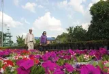 Khai mạc Festival Hoa - Kiểng Sa Đéc lần thứ II
