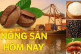 Giá nông sản hôm nay 30/12/2025: Giá cà phê duy trì đà tăng, Giá tiêu ổn định; Cảnh báo tin fake về Hội chợ quốc gia Mùa Xuân 2026