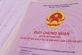 Ngân hàng "khóc ròng" mất sạch tiền vì một sổ đỏ thế chấp là giả, một sổ thật cũng có vấn đề