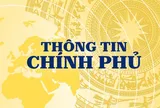Từ kênh thông tin chính thống đến “cầu nối” giữa Chính phủ và người dân, doanh nghiệp