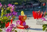 Rực rỡ cờ, hoa chào mừng Đại hội XIV của Đảng