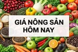 Giá nông sản hôm nay 24/1/2026: Giá cà phê robusta bứt phá, giá tiêu tăng liên tiếp; Mỹ hoãn áp thuế châu Âu nhưng thỏa thuận Greenland vẫn mơ hồ