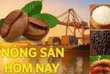 Giá nông sản hôm nay 26/1/2026: Giá cà phê được thúc đẩy bởi lo ngại về nguồn cung; Lý do ông Trump dọa áp thuế quan 100% đối với hàng Canada?