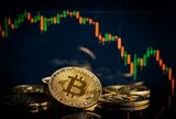 Giá Bitcoin rớt mạnh cùng vàng, bạc ngay trong đêm 29/1