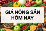 Giá nông sản hôm nay 12/2/2026: Giá cà phê trong nước có tín hiệu tích cực; Nguồn thu tăng 300%, Tòa án tối cao Mỹ khó đưa phán quyết về thuế quan?