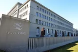 Trung Quốc đệ trình văn kiện nêu rõ lập trường về cải cách WTO