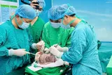 Chi phí ghép phổi rẻ hơn Mỹ 25 lần, Việt Nam 'tỏa sáng' trên bản đồ ghép tạng