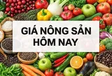 Giá nông sản hôm nay 11/3/2026: Giá cà phê khó lường, nguồn robusta lớn sắp ra hàng; Dầu Nga ở đâu khi thị trường năng lượng toàn cầu rung chuyển?