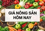 Giá nông sản hôm nay 27/3/2026: Giá cà phê sẽ giảm mạnh, doanh nghiệp xuất khẩu phòng thủ; Iran soạn luật thu phí tàu qua Eo biển Hormuz