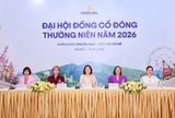 ĐHĐCĐ Vinpearl: Kế hoạch doanh thu năm 2026 kỷ lục, lợi nhuận tăng 172%, chào bán tối đa 100 triệu cổ phiếu ưu đãi giá 80.000 đồng/cp