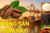 Giá nông sản hôm nay 2/5/2026: Giá cà phê kém tích cực, cao điểm từ giữa tháng 5? Giá dầu cao nhất cao nhất 4 năm khi đàm phán Mỹ-Iran vẫn bế tắc