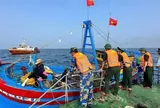 Tăng tốc gỡ ‘thẻ vàng’ IUU ngay trong năm 2026
