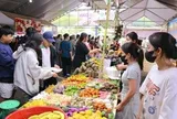 Du lịch Đồng bằng sông Cửu Long bứt phá dịp đại lễ 2026