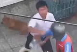 Người đàn ông đánh nam shipper chảy máu mũi vì từ chối cắt lông chó