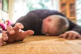 Người đàn ông 53 tuổi tử vong khi ngủ, bác sĩ chỉ ra sai lầm "chết người" nhiều người mắc