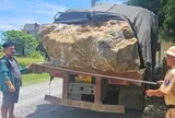 Thanh Hóa bắt, xử phạt hàng loạt xe chở quá tải, có xe quá tải hơn 700%