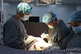 Hơn 76% bệnh nhân ung thư muốn kết hợp y học cổ truyền trong điều trị
