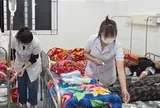 Học sinh nhập viện sau khi ăn quả lạ hái ven rừng, Bộ Y tế vào cuộc