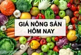 Giá nông sản hôm nay 29/5/2026: Giá cà phê tăng cao, trong nước tạm đạt điểm cân bằng, Trung Quốc 'mở rộng cửa' cho cà phê từ 53 quốc gia châu Phi