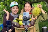 Trang mới của thương mại nông sản Việt: Khi sản phẩm tiếp cận người dùng chỉ qua một chiếc điện thoại