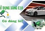 TỔNG THUẬT Tọa đàm: 'Sử dụng xăng E10 có đáng lo?'