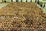 Ám ảnh cuộc sống bên trong "siêu nhà tù" khét tiếng nhất thế giới