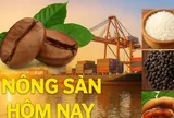 Giá nông sản hôm nay 8/6/2026: Giá cà phê giảm sâu liên tiếp, áp lực bán tiếp tục tăng mạnh; Giá dầu tăng vọt, OPEC+ có thể sắp quyết tăng nguồn cung
