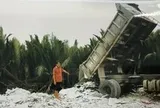 Khởi tố người đổ trái phép gần 600 tấn chất thải công nghiệp ở Tây Ninh