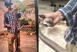 Bị rắn hổ mang cắn vào tay vẫn chụp ảnh, người đàn ông 58 tuổi có trải nghiệm nhớ đời
