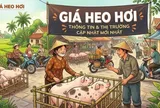 Giá heo hơi hôm nay 27/6: Nhiều địa phương miền Bắc đồng loạt giảm, miền Trung Tây Nguyên và miền Nam ổn định, cao nhất 67.000 đồng/kg