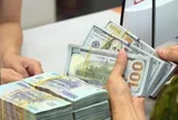 Lưu ý trong giao dịch mua, bán ngoại tệ tiền mặt, phòng ngừa ngoại tệ giả