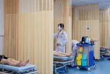 Đang đi chơi vui vẻ, 8 người bị ong vò vẽ đốt phải nhập viện