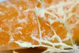 Tưởng chỉ có sữa, hóa ra 3 loại quả bình dân ngoài chợ rất tốt cho xương trẻ