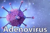 Virus Adeno gia tăng ở trẻ, Bộ Y tế khuyến cáo cách phòng bệnh