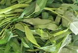 Ăn rau muống mỗi ngày: Điều gì sẽ xảy ra với cơ thể?