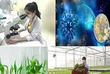 Phát triển công nghiệp sinh học ngành nông nghiệp và môi trường