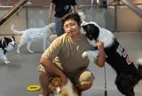Thị trường chăm sóc thú cưng Trung Quốc phát triển do thay đổi lối sống của giới trẻ