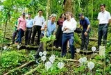 Dự án trồng sâm Ngọc Linh 12.300 tỷ đồng của ông Trần Bá Dương có diễn biến mới