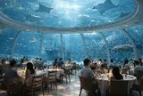 Việt Nam sắp có thêm một công trình lớn nhất thế giới: Công viên thủy cung rộng 24ha, có sức chứa hơn 450 triệu lít nước