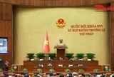 Quốc hội thảo luận định hướng chính sách sửa đổi Luật Kinh doanh bất động sản
