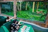Việt Nam sở hữu công viên 100 triệu USD, hoạt động động 20 năm vẫn hút khách, liên tục được nâng cấp, là vườn thú bán hoang dã đầu tiên tại Thủ đô