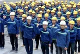 CEO VinCons tiết lộ 100.000 công nhân tuyển mới từ vùng nông thôn, miền núi, không lấy của doanh nghiệp khác
