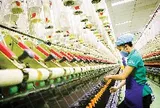 Không phải điện tử hay công nghệ cao, một ngành truyền thống của Việt Nam trở thành “cứu cánh” cho kho xưởng miền Nam khi các DN khác trả mặt bằng