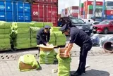 Hải quan phát hiện hàng nghìn vụ vi phạm, thu hàng trăm tỷ đồng