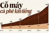 “Cỗ máy cà phê” kín tiếng ở Đắk Lắk đem về hàng nghìn tỷ cho đại gia Ấn Độ, được miễn thuế thu nhập trọn đời